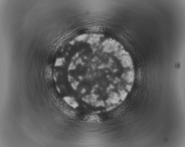 X0000112000715200909141101