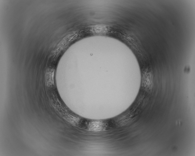 X0000112000717200909141101