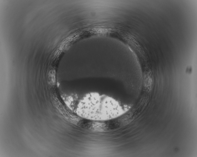 X0000112000718200909141101