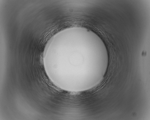 X0000112000720200909141101