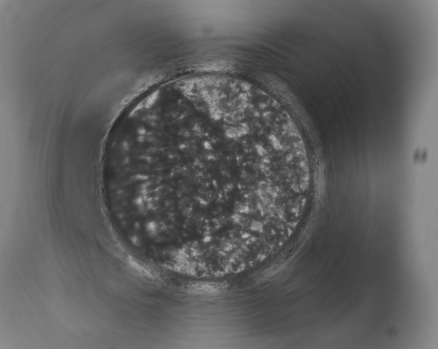 X0000112000721200909141100