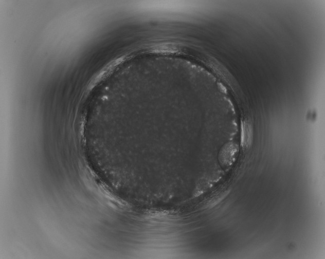 X0000112000723200909141100