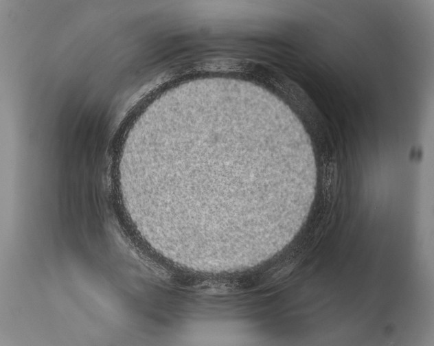 X0000112000727200909141100