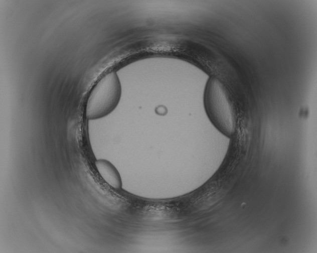 X0000112000728200909141100