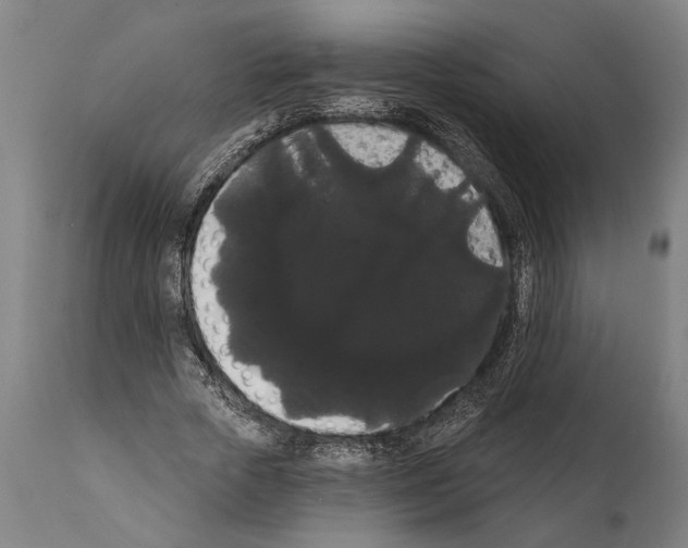 X0000112000729200909141100