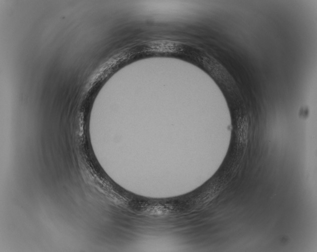 X0000112000731200909141100