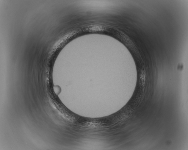 X0000112000732200909141100