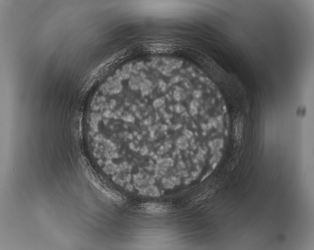 X0000112000733200909141100