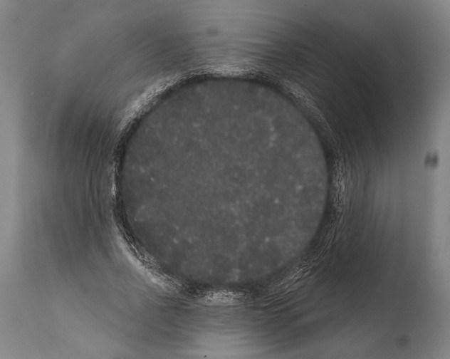 X0000112000734200909141100