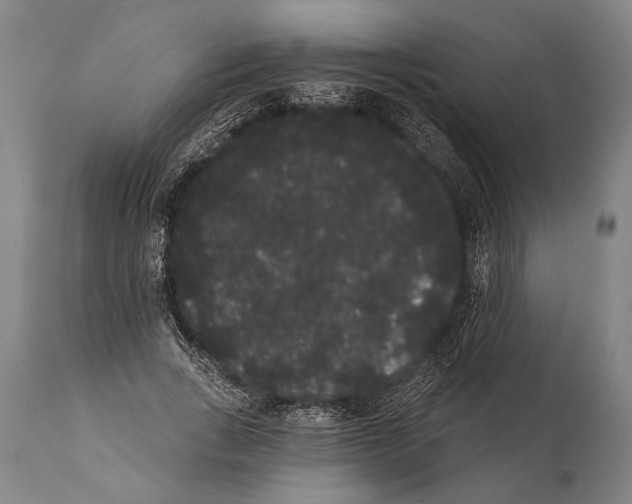 X0000112000735200909141100