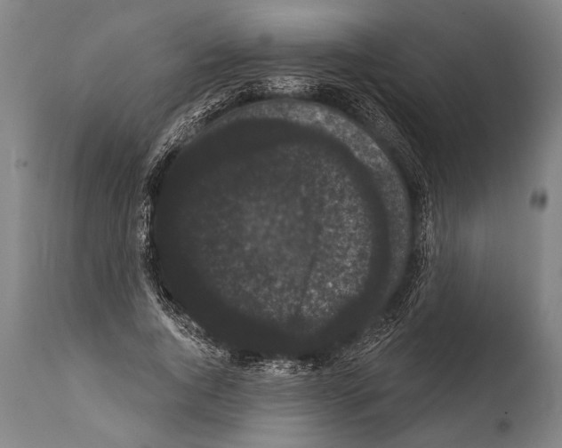 X0000112000736200909141100