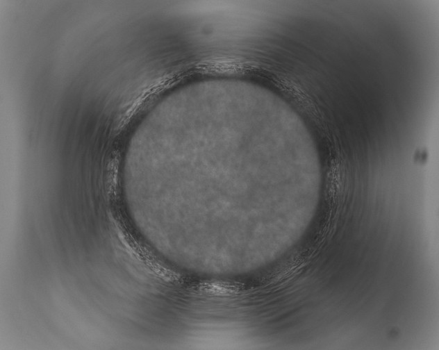 X0000112000739200909141100