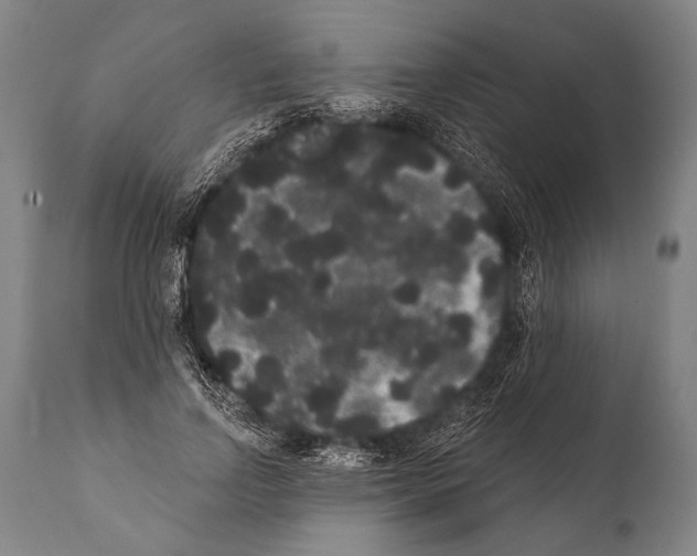 X0000112000742200909141100