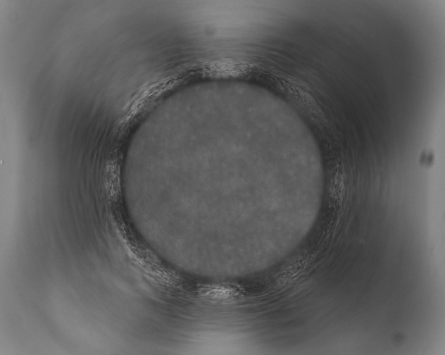 X0000112000743200909141100