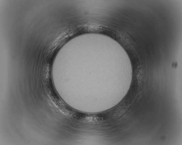 X0000112000744200909141100