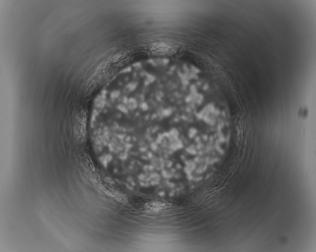 X0000112000745200909141100