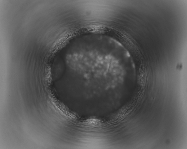 X0000112000748200909141101