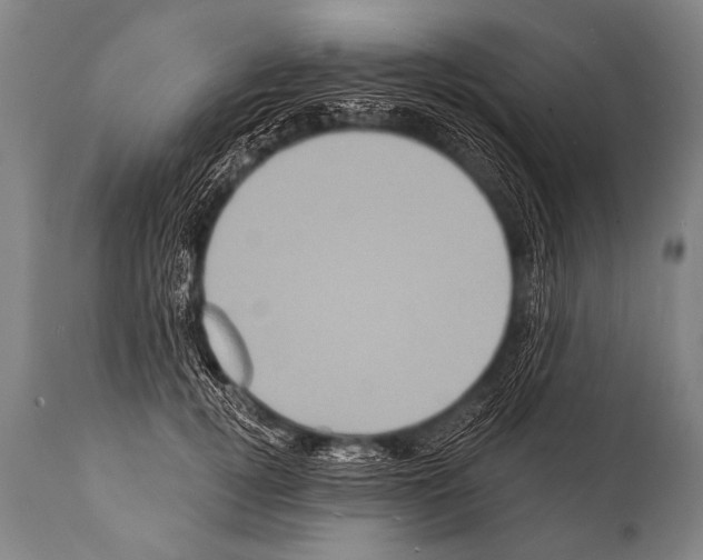 X0000112000752200909141101