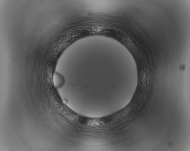 X0000112000754200909141101