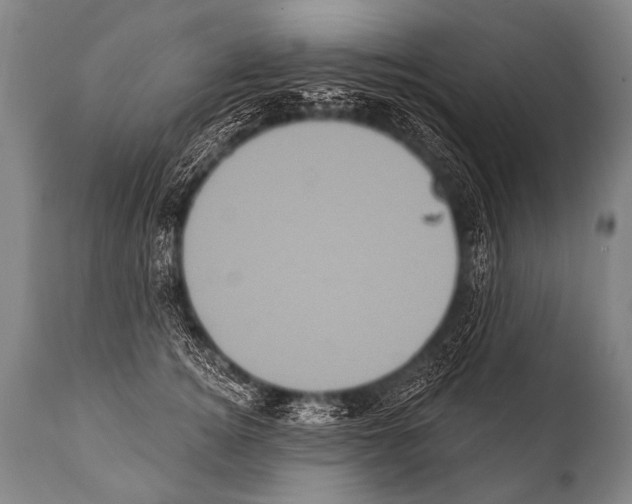 X0000112000756200909141101