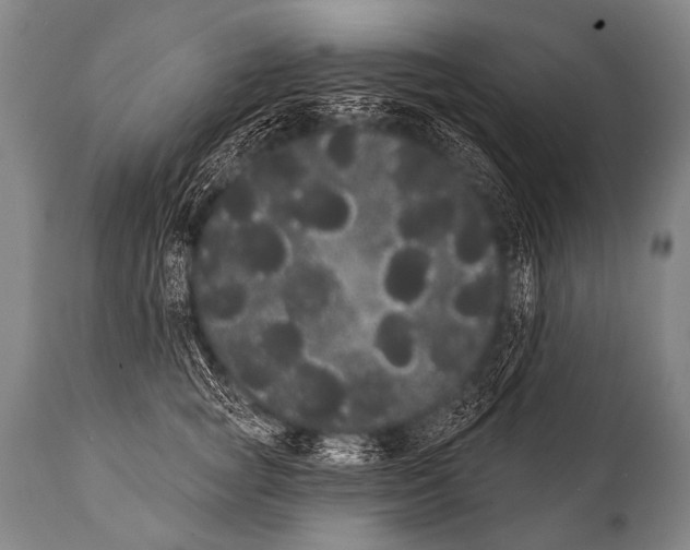 X0000112000757200909141101