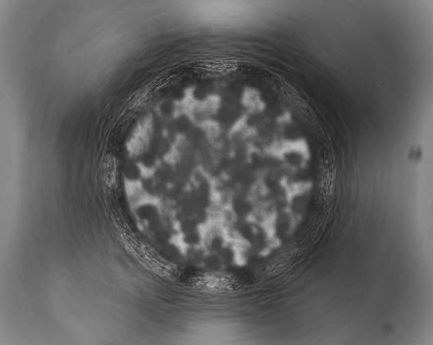 X0000112000758200909141101