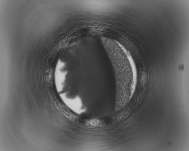 X0000112000759200909141101