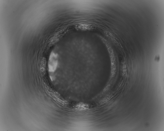 X0000112000760200909141101