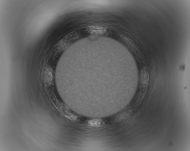 X0000112000761200909141101