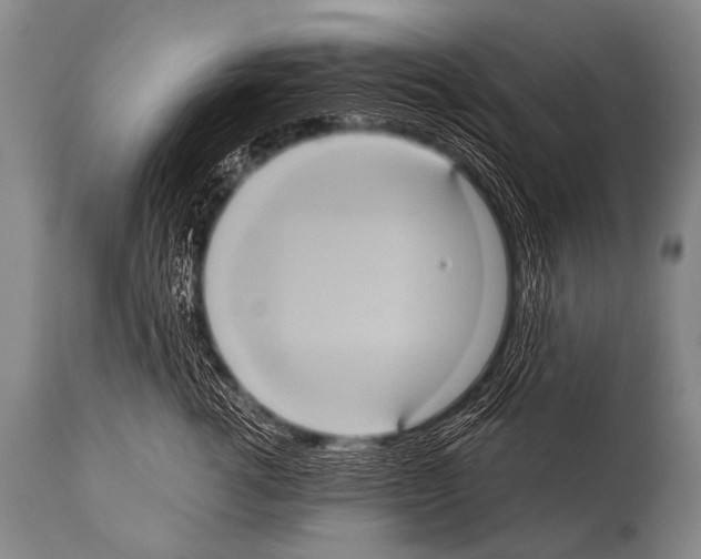 X0000112000762200909141101