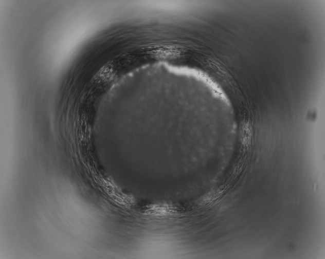 X0000112000763200909141101