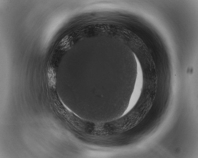 X0000112000766200909141101