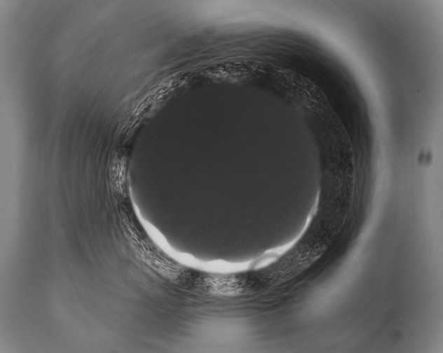 X0000112000767200909141101