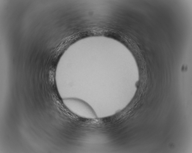 X0000112000768200909141101