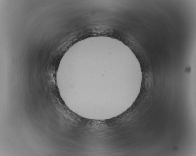 X0000112000770200909141100