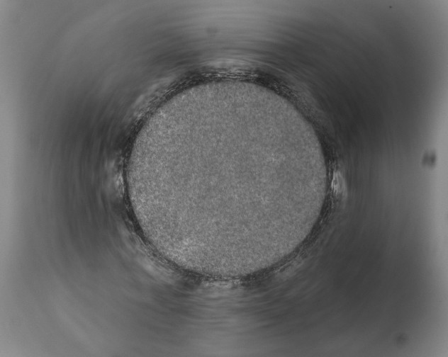 X0000112000771200909141100