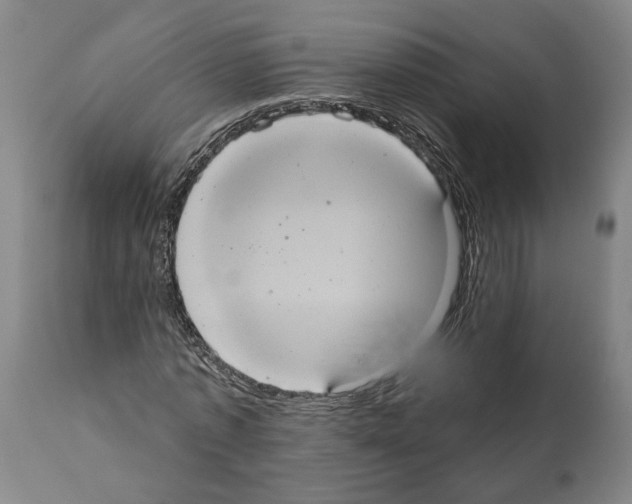 X0000112000773200909141100