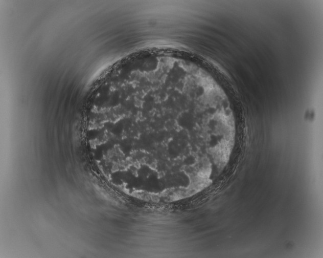 X0000112000775200909141100