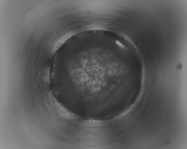 X0000112000777200909141100