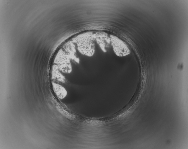 X0000112000779200909141100