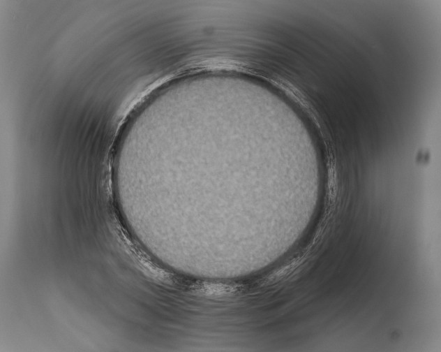 X0000112000782200909141100