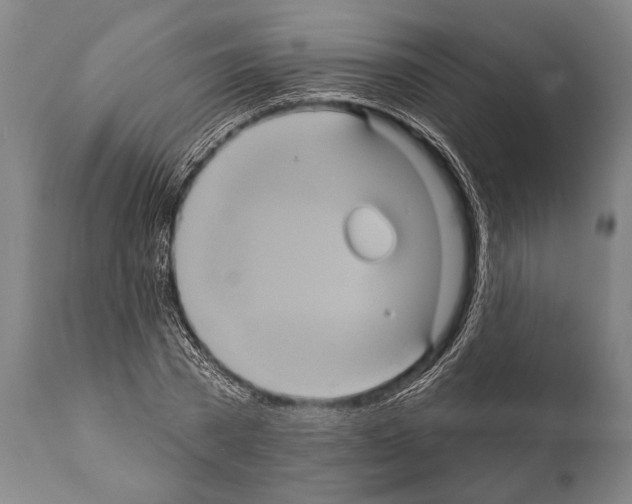 X0000112000785200909141100