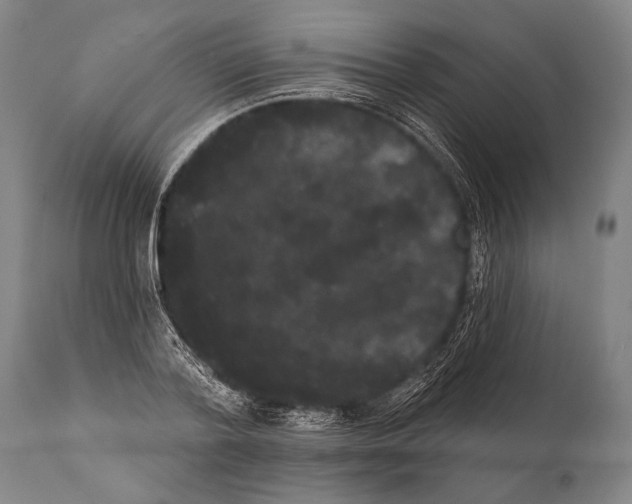 X0000112000788200909141100