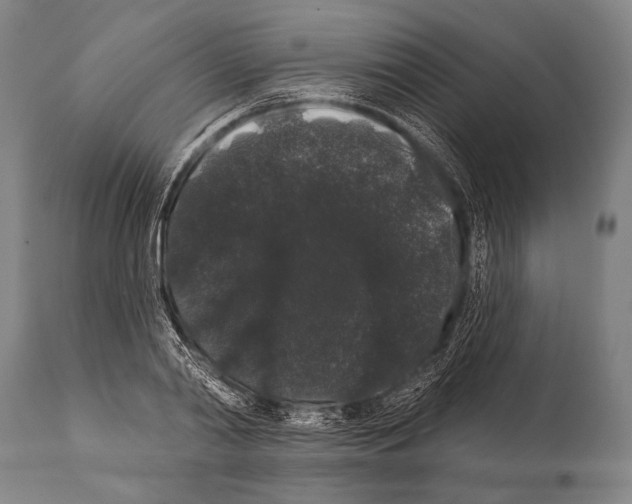 X0000112000790200909141100