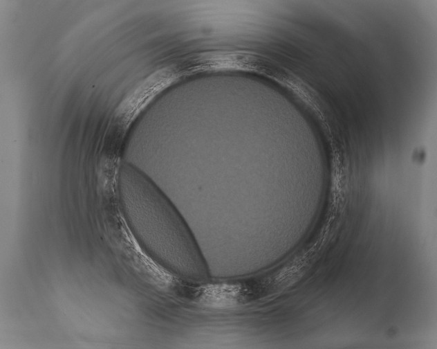 X0000112000793200909141100