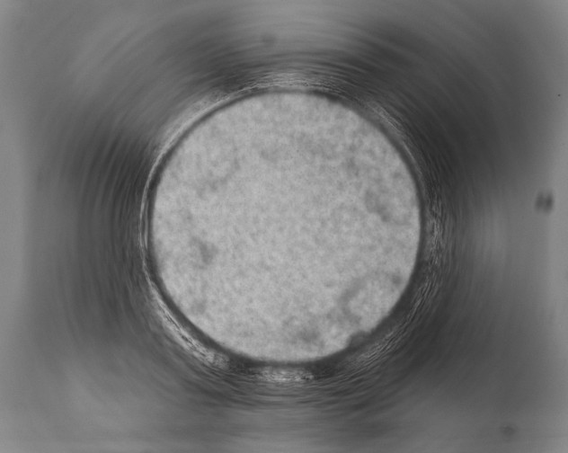 X0000112000795200909141100