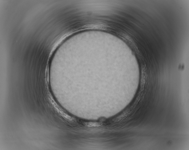 X0000112000796200909141100