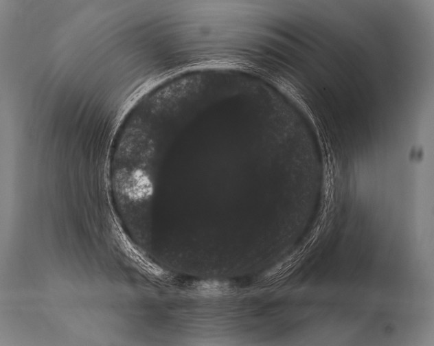 X0000112000797200909141100