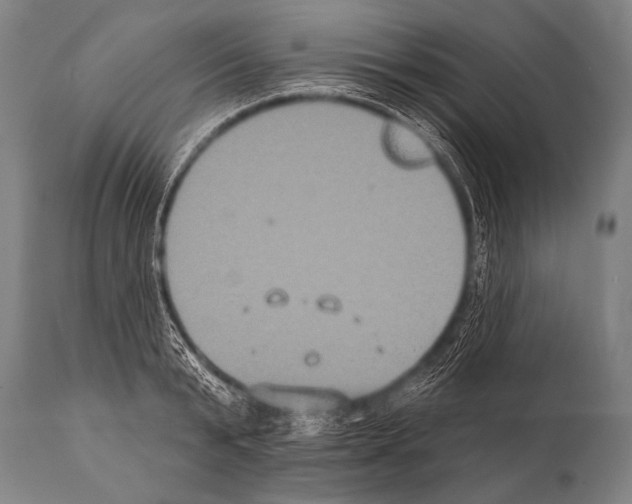 X0000112000799200909141100