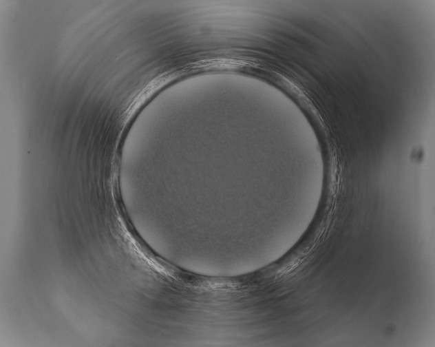 X0000112000802200909141100